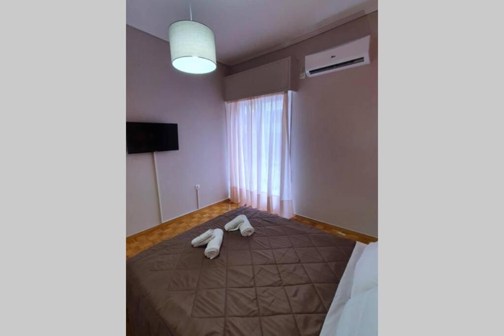 Greek Hospitality In A Modern Apartment 아테네 외부 사진